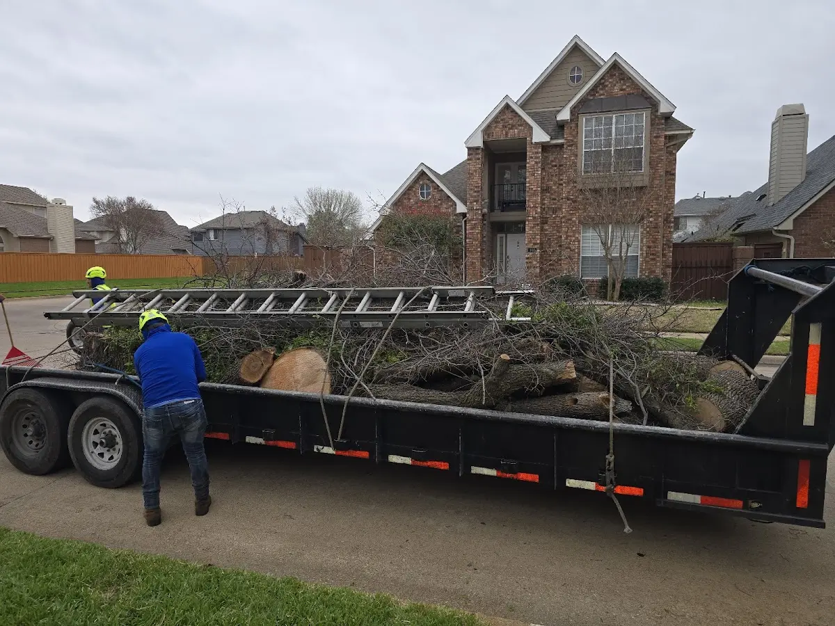 Expert Tree Pest Control with proper safety equipment in Bluffton